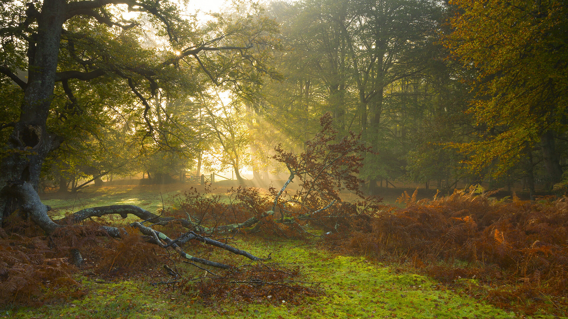 开云在线-新英雄技能视频曝光，新英雄特效