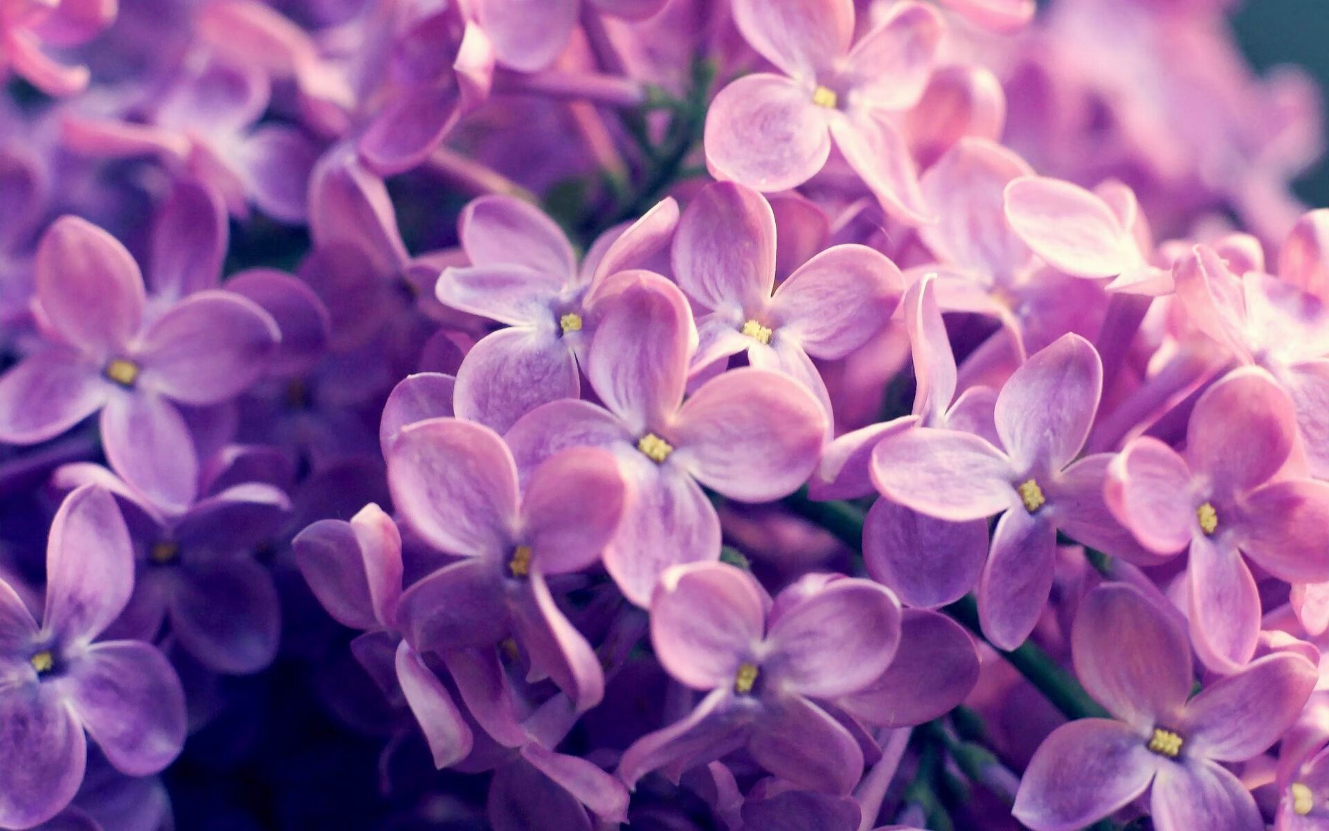 篮球运动员身体素质评估方法,篮球运动员身体素质评估方法有哪些