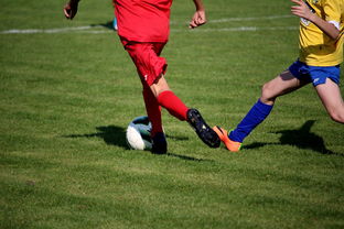 开云体育首页-NBA球员训练计划优化设计，nba运动员训练计划