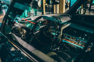 开云娱乐app安全登录-世界高速滑轮挑战赛中国少年展现实力，世界滑轮比赛视频