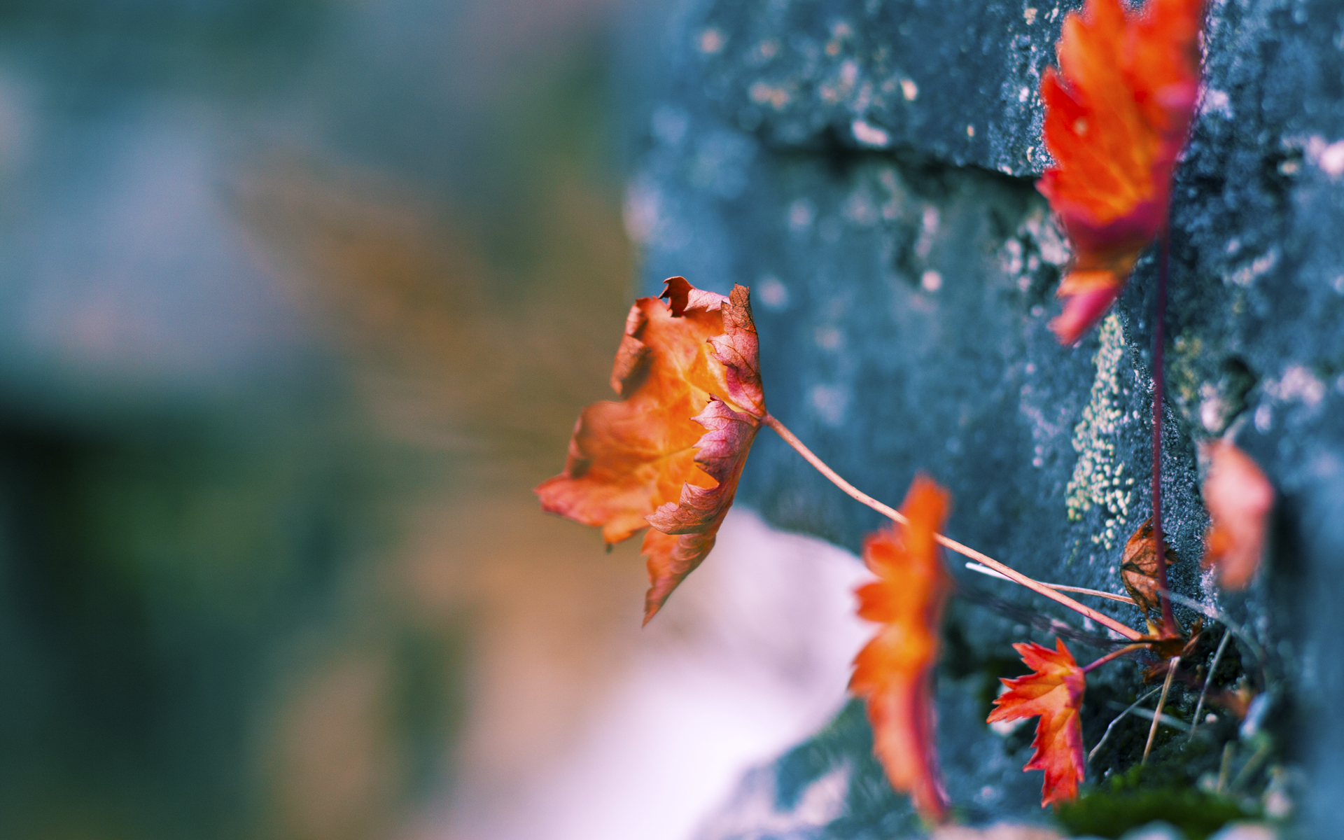 青少年体育培训效果评估，青少年体育培训的重要性