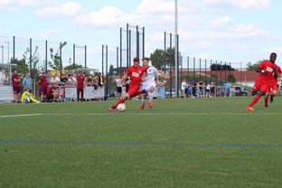 开云官方-未来足球运动场将实现环保材料全覆盖，绿色发展理念深入人心，室外足球场的运营方案