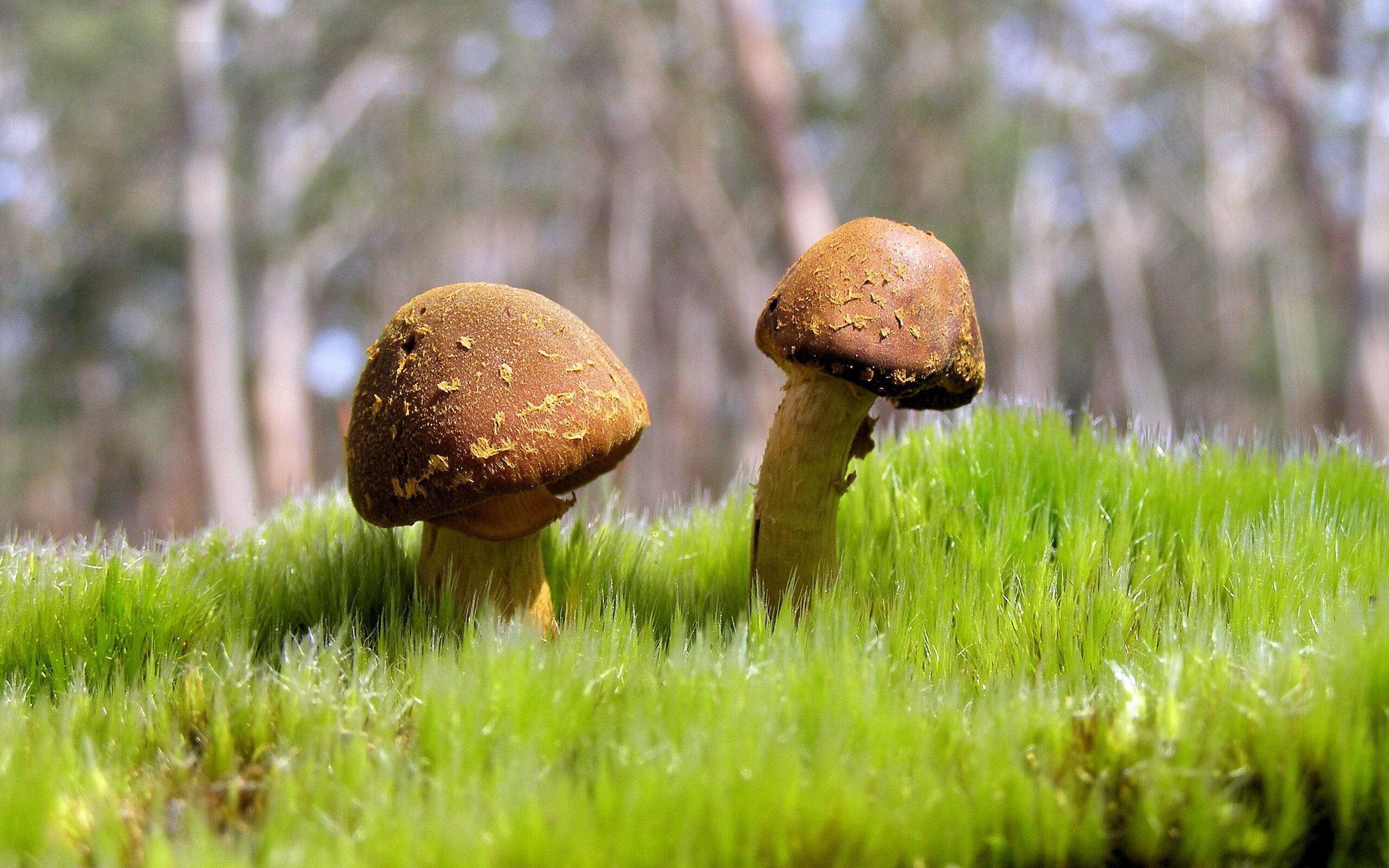 电竞数据分析人才紧缺推动高校开设新课,电竞赛事游戏数据分析师