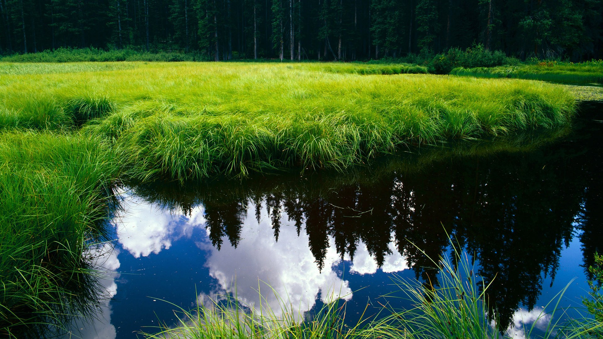 开云在线-英格兰女子橄榄球赛事激发全新关注热潮，中国女子英式橄榄球